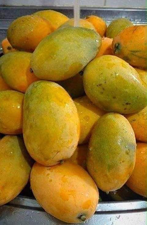 this is first download